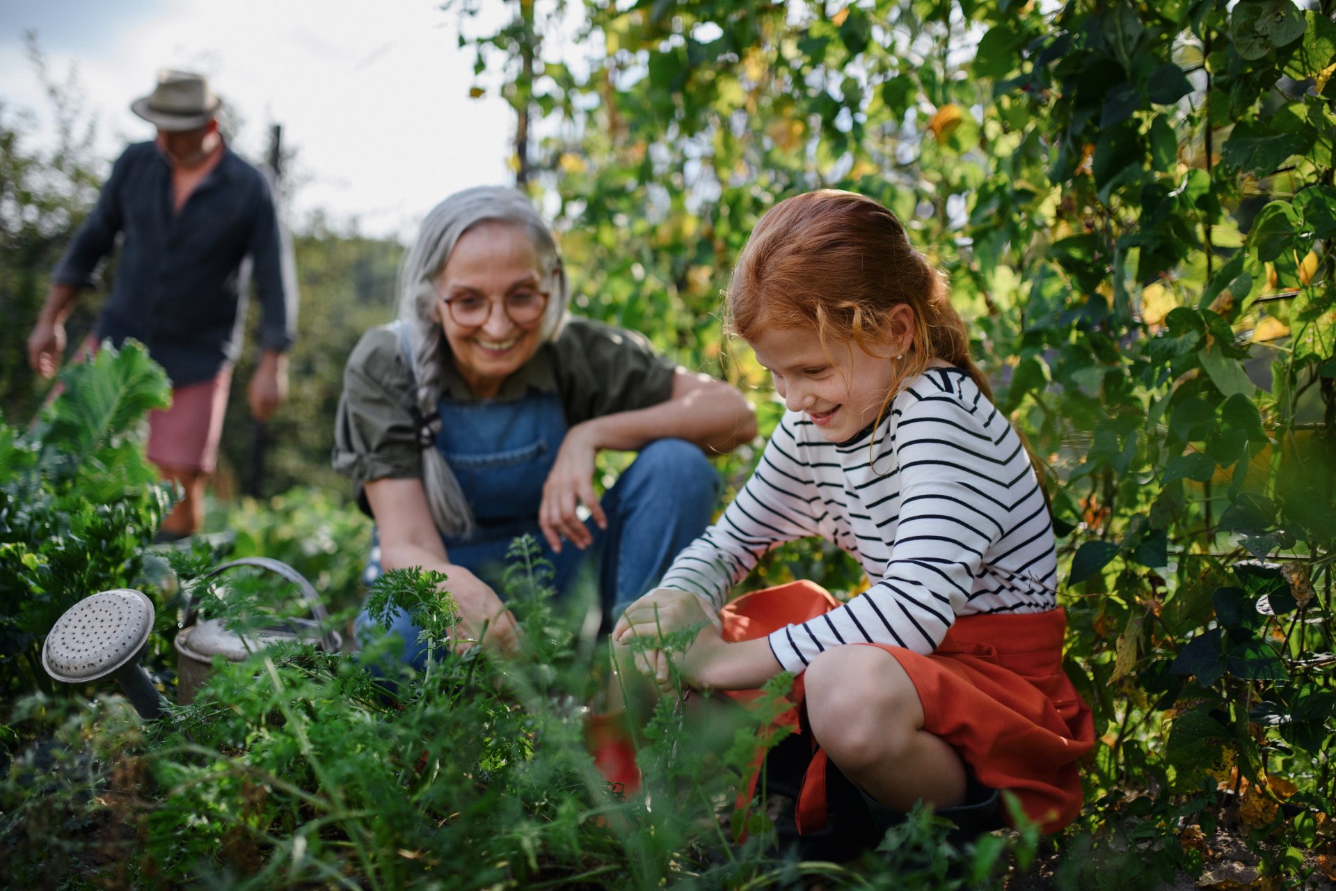 Fillette au potager