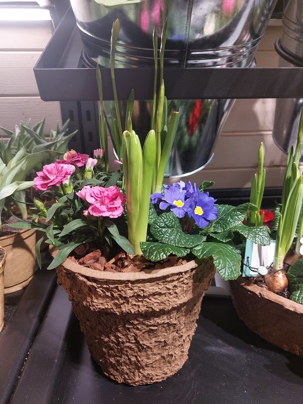 Homme et fille jardinant