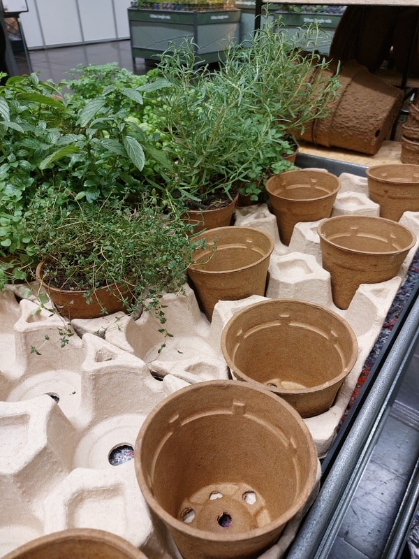 Gestes pour planter un rosier en racines nues.