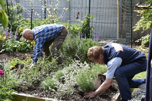 Jeune fille en train de planter un arbre