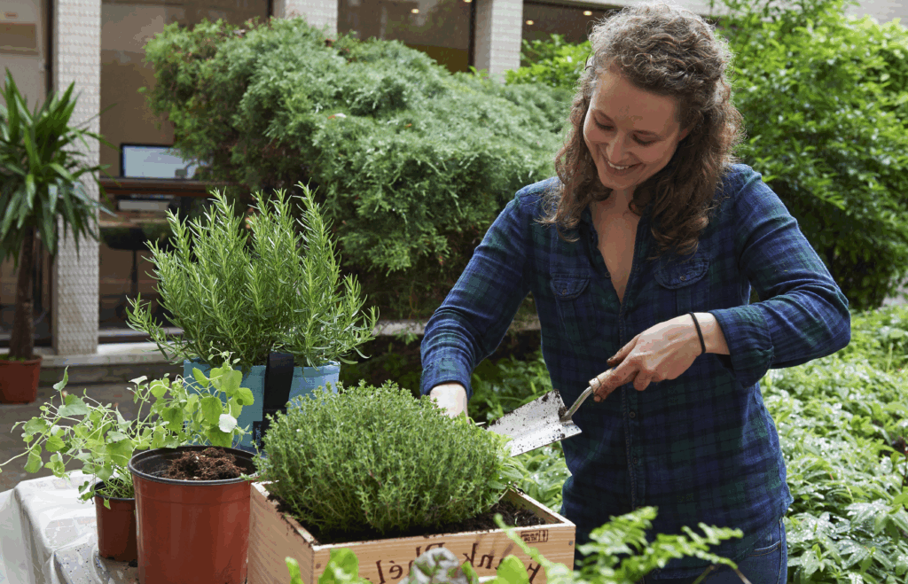 Plantes d'extérieur