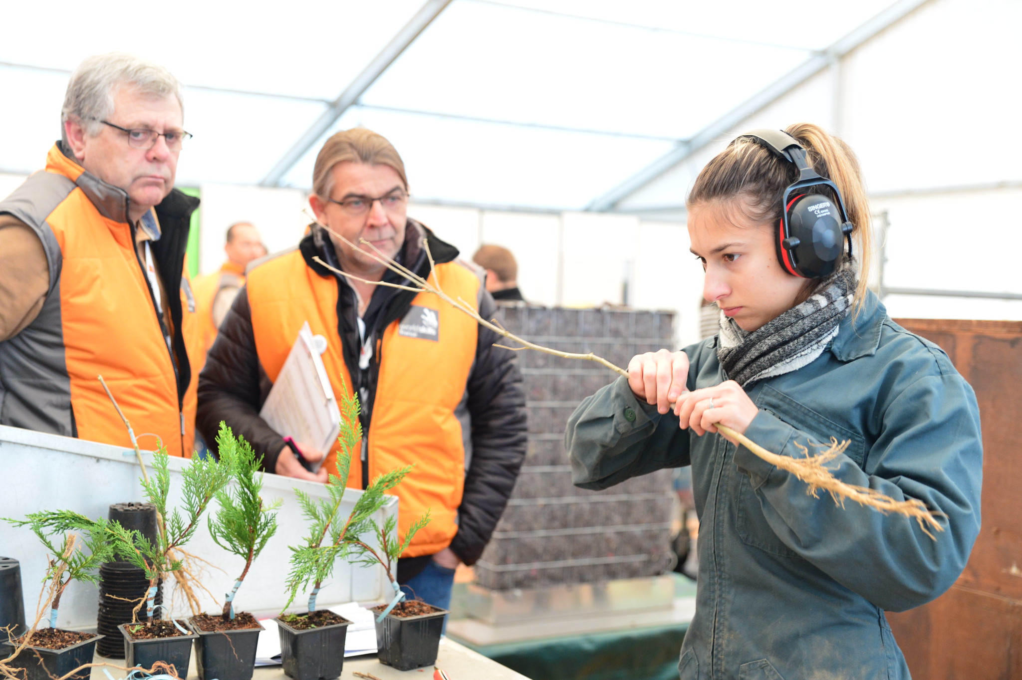 Finale France 2018 horticulture - Métiers du végétal