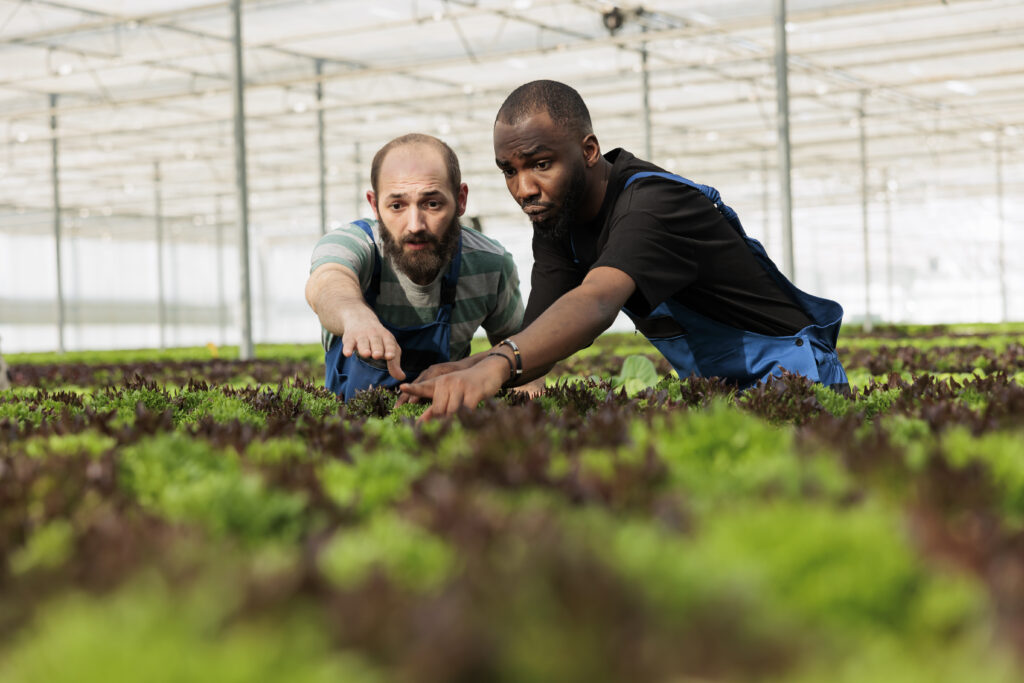 Horticulteurs